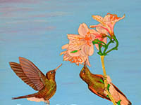 Hummingbirds